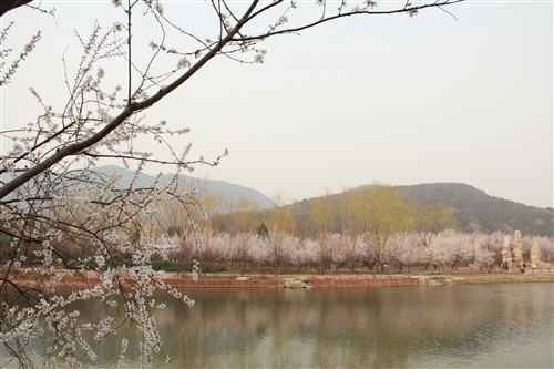 轻松拍人像风景 550D+18-135游植物园 