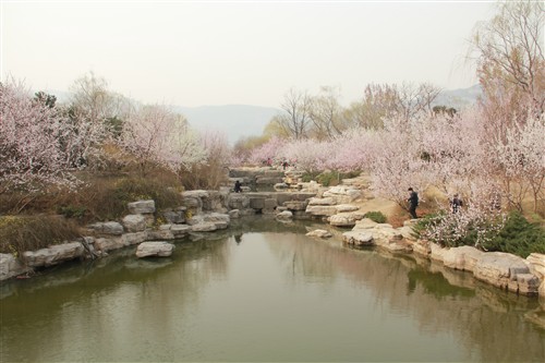 轻松拍人像风景 550D+18-135游植物园 