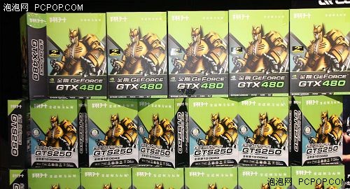 NGF2010游戏盛会 卡皇GTX480现场预定 