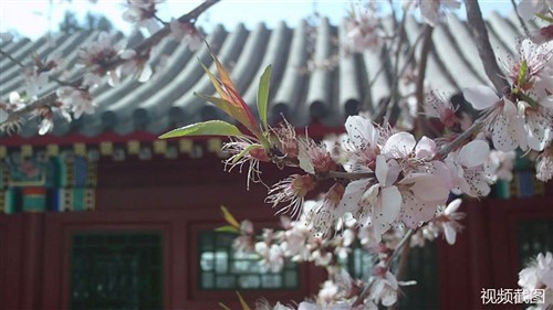 阳春三月赏美景 HOTT数码摄像机试用