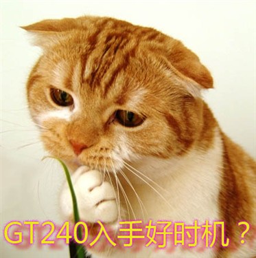 499Ԫ���ֺ�ʱ����GT240����ɱ�ۿ� 