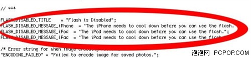 iPhoneOS4固件泄密iPhone用闪光灯外设 