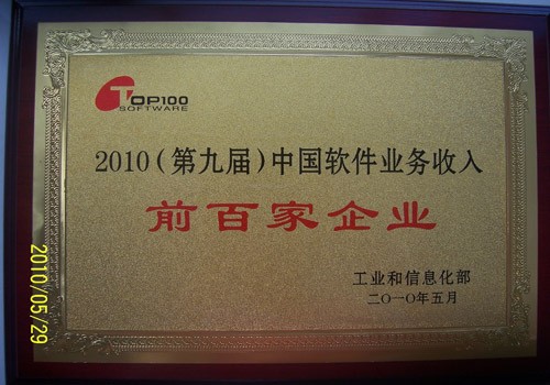 收入证明_软件业务收入分类(3)