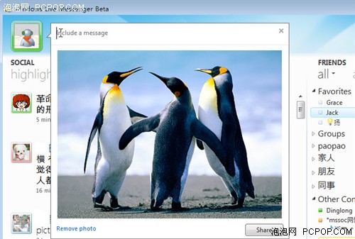 多标签聊天新颖社交面板 新版MSN试用 