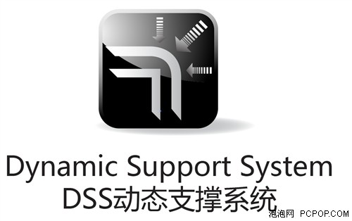 全新DSS系统 极智网际飞梭定制版套装上市 