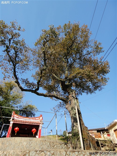 鼓浪屿/校园/美女 索尼TX9厦门风光行 