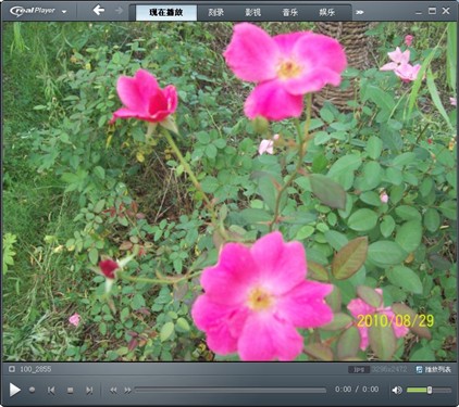 玩转RealPlayer2011图片管理全面服务 