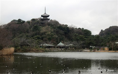 高清全尺寸 佳能日本之旅美景大图秀 