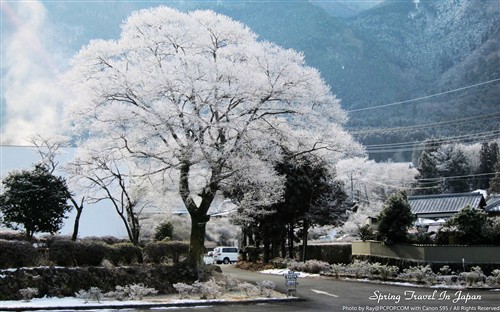 高清全尺寸 佳能日本之旅美景大图秀 