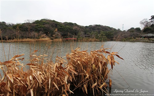 高清全尺寸 佳能日本之旅美景大图秀 