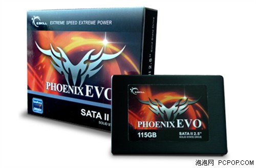 G.Skill推出25nm固态硬盘PHOENIX EVO 