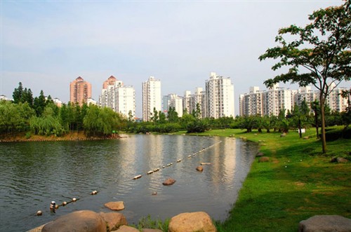 感受夏日清凉 上海6大适合外拍公园荐 