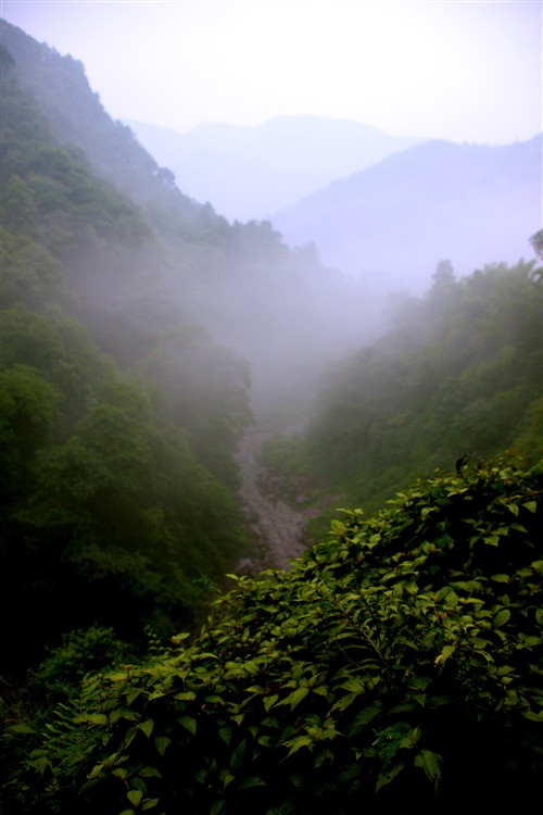 四川峨眉山游记：腾云驾雾的世外桃源 