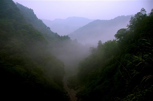 四川峨眉山游记：腾云驾雾的世外桃源 