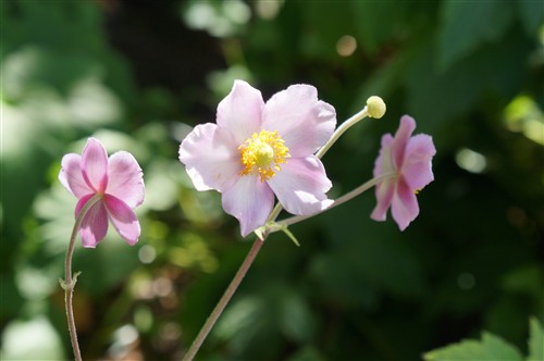 再创高感神话 索尼NEX-5N海外样片集