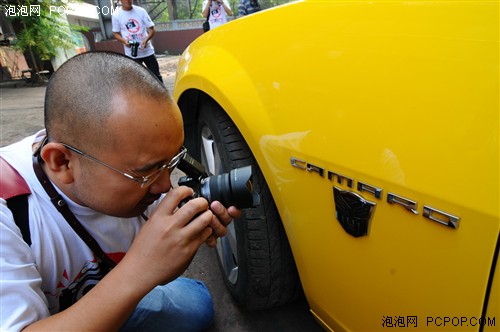 与大黄蜂零距离的接触 泡摄会外拍记 