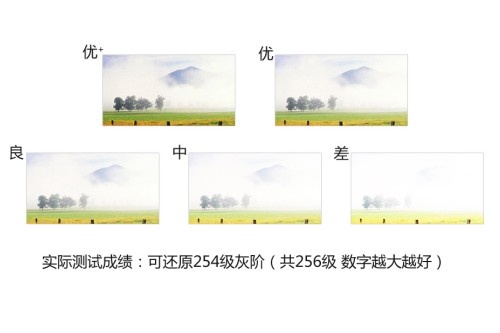 LED背光更强吗 20款液晶间数据的较量 