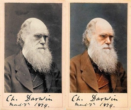 查尔斯·达尔文(charles darwin)