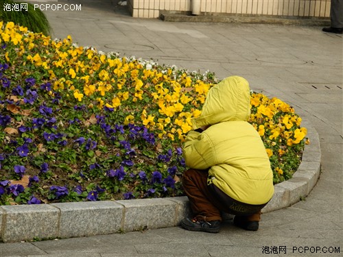 周末惬意生活 尼康P7100记录闲暇午后 