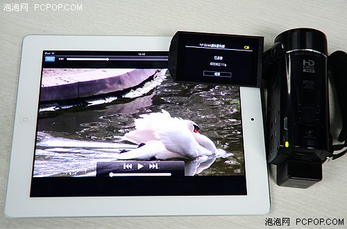 滤镜拍摄乐无穷 佳能HFM56畅游动物园 