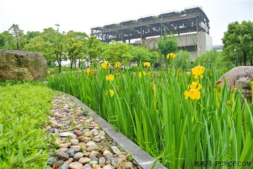 尼康1系列微单相机之故地重游世博会 