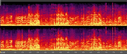 纽曼PD60录音笔初体验 