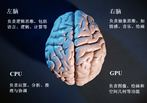 移动处理器小教室第一期 人脑与处理器 