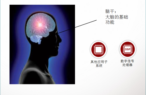 移动处理器小教室第一期 人脑与处理器 