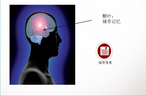 移动处理器小教室第一期 人脑与处理器 