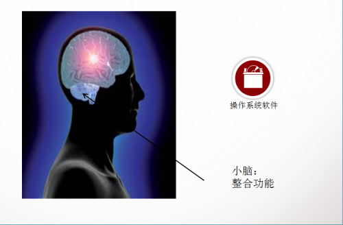 移动处理器小教室第一期 人脑与处理器 