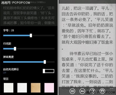 盛大云中书城 for Windows Phone测评 