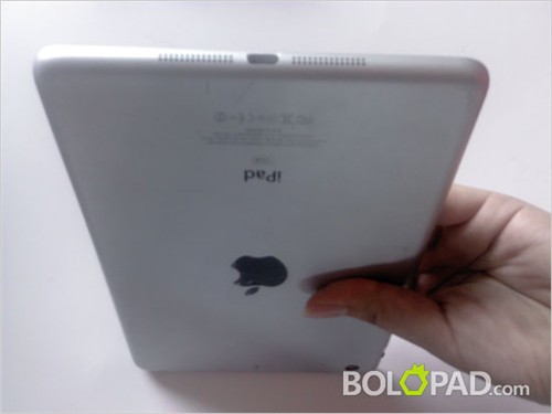 iPad Mini实体模型!前置面板设计曝光 