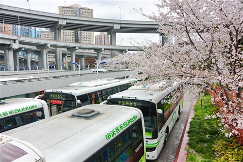 高超画质捕捉精彩 尼康V2拍春季花海 