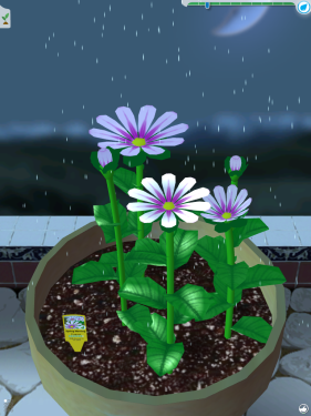 电子版的种植植物 iPhone游戏种植花园 