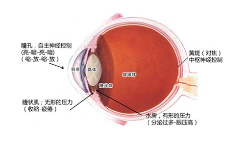 专注用眼健康！明基BL2410PT液晶评测 