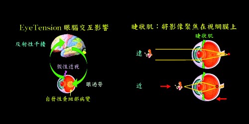 清爽视觉体验！白领办公护眼原理解析 