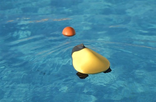 海边泳池也有的玩 Ziphius水上无人机 