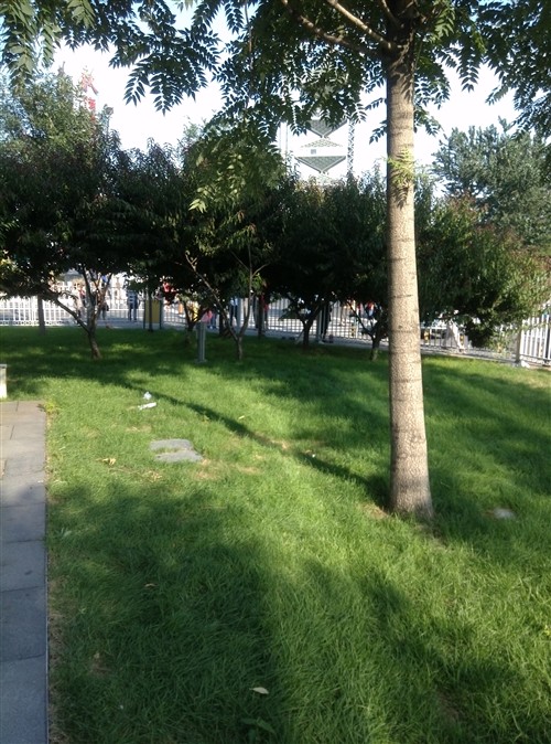 小米手机3现场拍摄样张