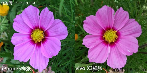 800万像素/闭环马达 vivo X3拍照对比 