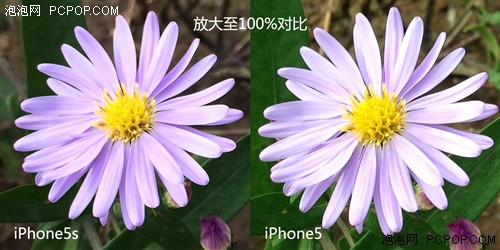 800万最强 iPhone5s/iPhone5拍照对比 