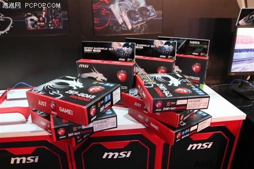 MSI BETA IT2013全球总决赛 