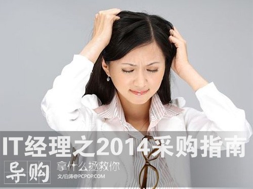 拿什么拯救你？IT经理之2014采购指南 