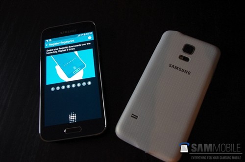 小号S5 三星GALAXY S5 mini多图曝光 