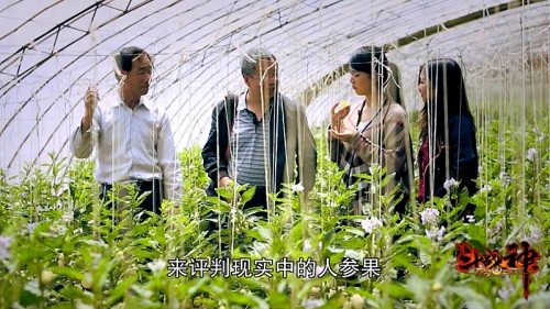 人参果之谜！镭风探寻不为人知的真相 