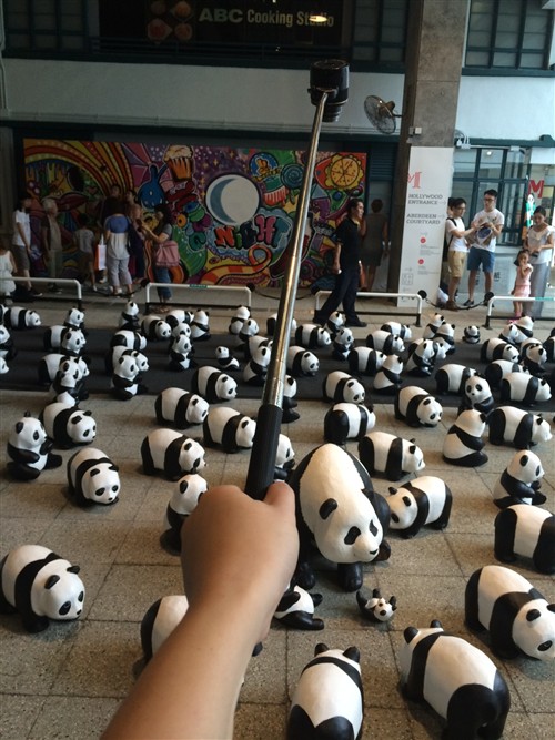 柯达SL10镜头相机拍1600只熊猫游香港 
