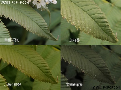 一加/小米手机4/荣耀6非全面对比评测 