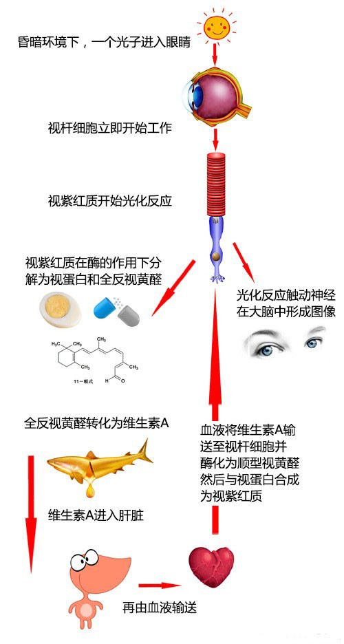 隐性职业病 蓝光伤害 