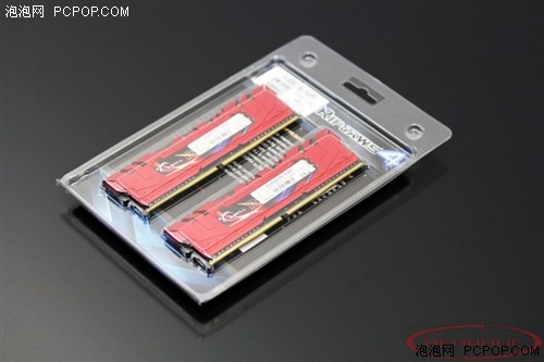 海量图赏：全球最快的DDR4内存 