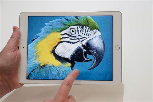 iPad是用户进入苹果生态系统的一扇门 