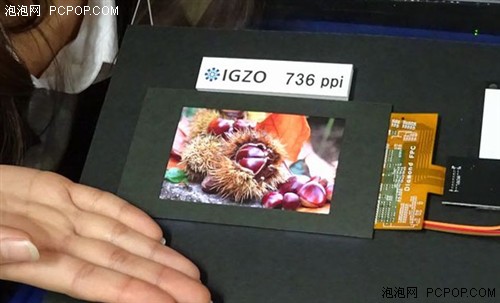 736ppi！ 夏普展出4.1英寸IGZO LCD屏 